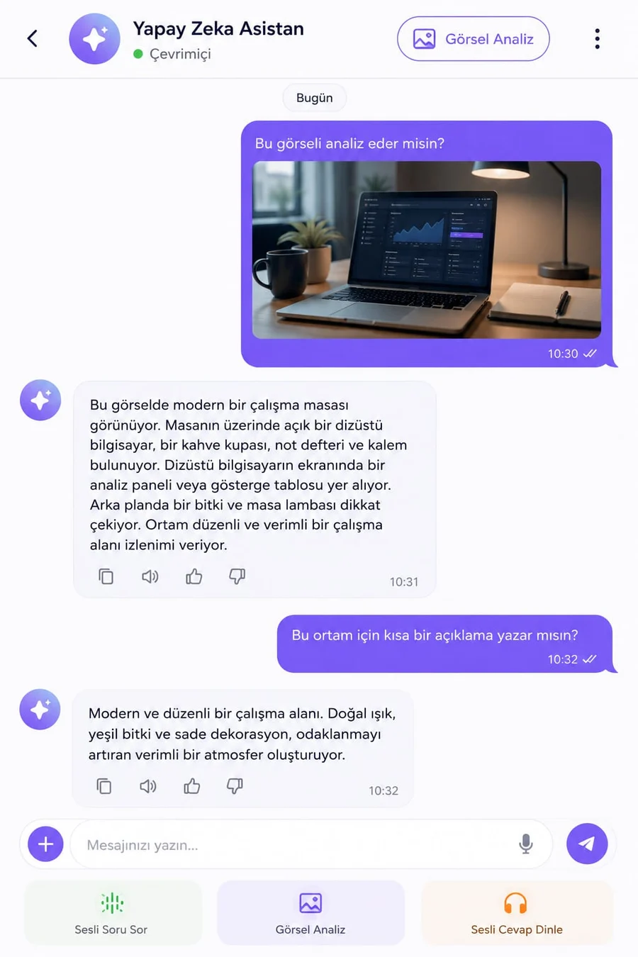 Yapay Zekâ Görsel Analiz ve Sesli Asistan Uygulaması önizlemesi